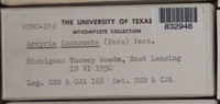 Image Associated With the Occurence